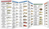 Folding Pocket Guide: British Columbia Freshwater Fisheries, 2nd Edition