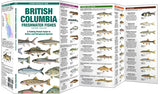 Folding Pocket Guide: British Columbia Freshwater Fisheries, 2nd Edition
