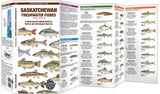 Folding Pocket Guide to Saskatchewan Freshwater Fishes, 3rd Edition