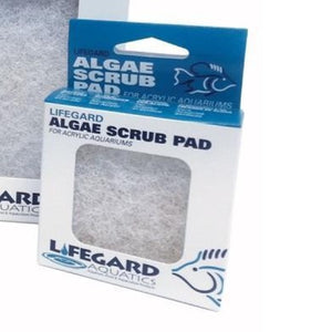 Algae Scrubbing Pads, 3" x 3", White (Fin