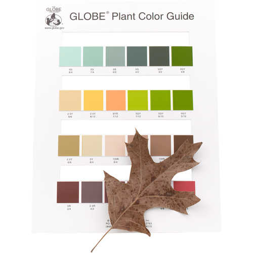 GLOBE Plant Colour Guide