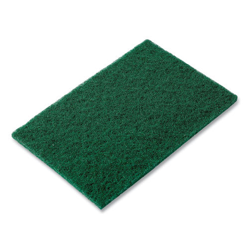 Scouring Pad, Green, 6