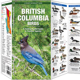 Folding Pocket Guide: British Columbia Birds, 2nd Edition