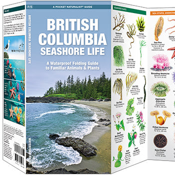 Folding Pocket Guide: British Columbia Seashore Life, 3rd Edition