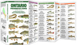 Folding Pocket Guide to Ontario Freshwater Fishes, 2nd Edition