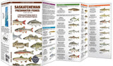 Folding Pocket Guide to Saskatchewan Freshwater Fishes, 3rd Edition