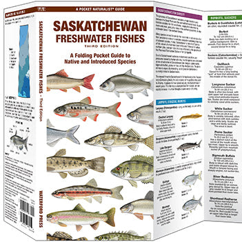 Folding Pocket Guide to Saskatchewan Freshwater Fishes, 3rd Edition