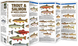 Folding Pocket Guide - Trout & Salmon of North America, 2nd Edition