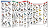 Folding Pocket Guide: Vancouver Birds
