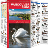 Folding Pocket Guide: Vancouver Birds