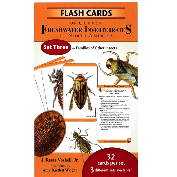 Flash Cards of Common Freshwater Invertebrates of North America - Set Three
