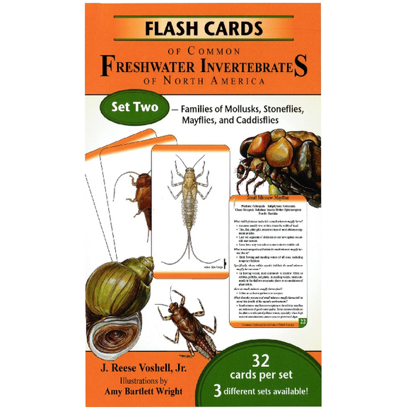 Flash Cards of Common Freshwater Invertebrates of North America - Set Two