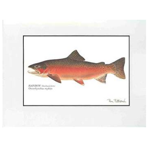 Matted Art Prints, Fish (Various Species)