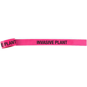 Flagging Tape - "INVASIVE PLANT"