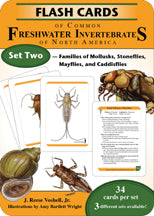Flash Cards of Common Freshwater Invertebrates of North America
