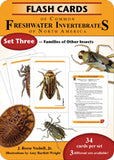 Flash Cards of Common Freshwater Invertebrates of North America