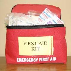 First Aid Kit, Professional
