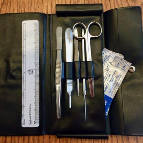 Dissecting Kit, Standard