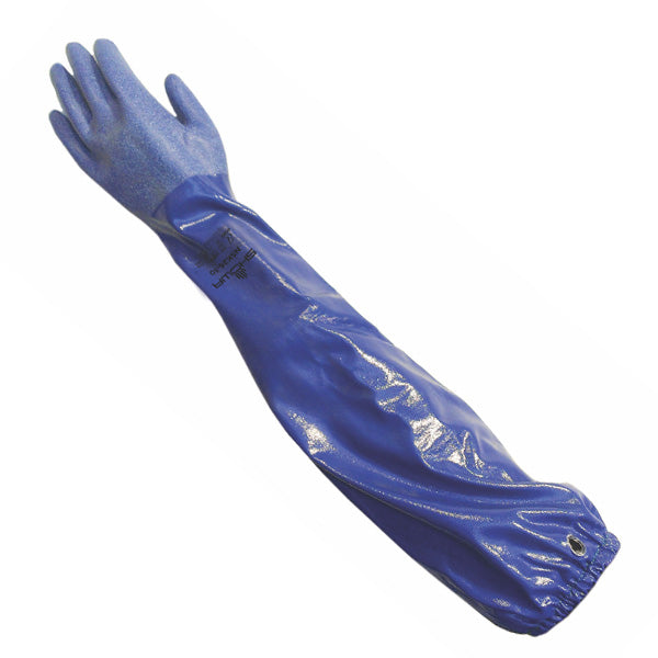 Blue & Black Unisex SportSoul Neoprene Gym Gloves, Size: M,L, Model Name/ Number: Ggn at Rs 185/pair in Delhi