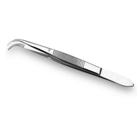 Fine Curved Forceps