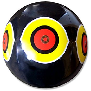 Predator Balloons Black