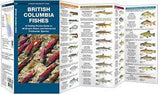 Folding Pocket Guide to British Columbia Fishes